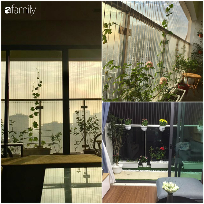 Chi tieu 30% thu nhap, sau 4 nam, sam nha, tiet kiem hon 2 ty-Hinh-2