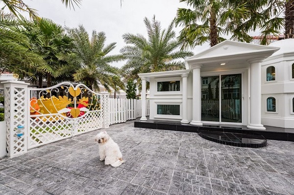 Đi kèm căn nhà sang của chó là khoảng sân rộng được lát đá ghi "chanh xả" và đánh dấu bằng hàng rào gỗ trắng xinh xắn.