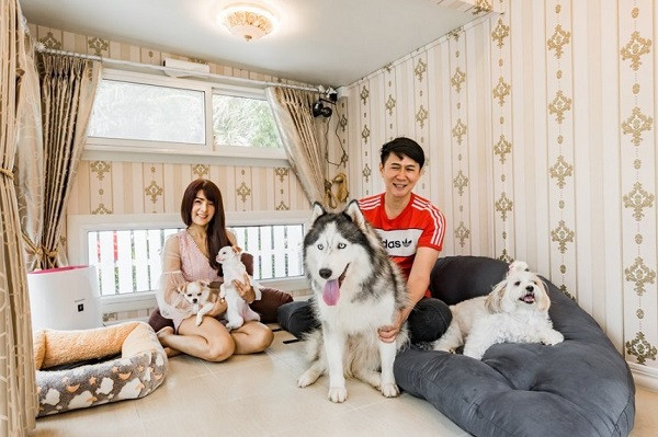 Bên trong ngôi nhà của chó, các thiết bị, đồ nội thất đều được lắp đặt sẵn, đảm bảo giúp các chú chó thư giãn.