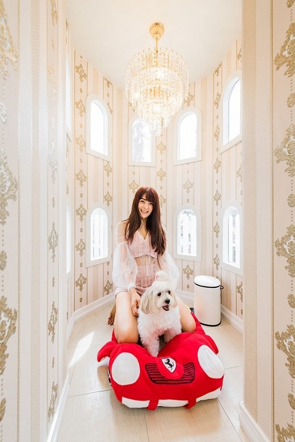 Chăn ấm đệm êm, đồ chơi đầy phòng, đây chắc chắn là chú chó "sướng nhất mọi thời đại".