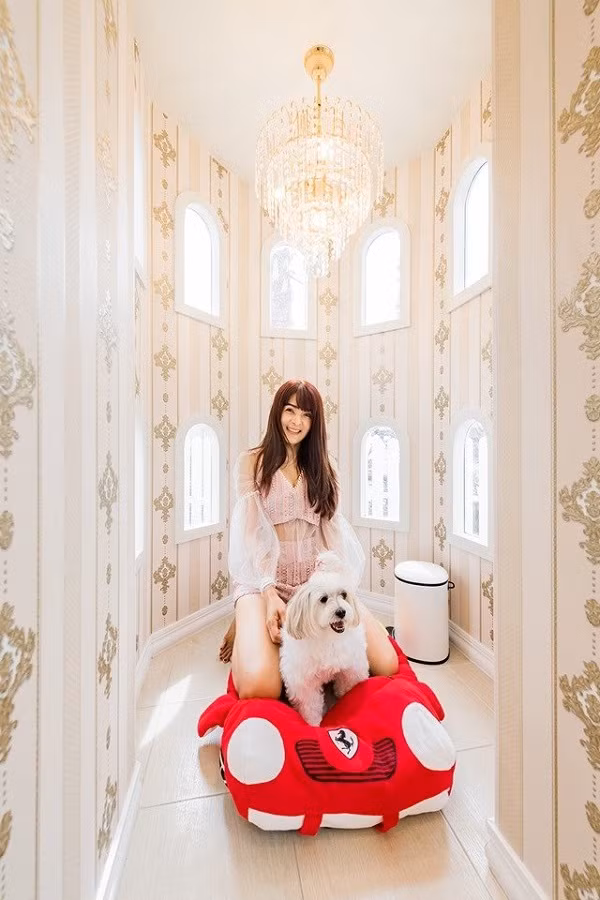 Chăn ấm đệm êm, đồ chơi đầy phòng, đây chắc chắn là chú chó "sướng nhất mọi thời đại".