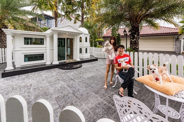 Tài khoản T.H "ngưỡng mộ": "Chắc kiếp trước mấy boss cứu cả thế giới nên giờ được ở nhà cao cửa rộng".