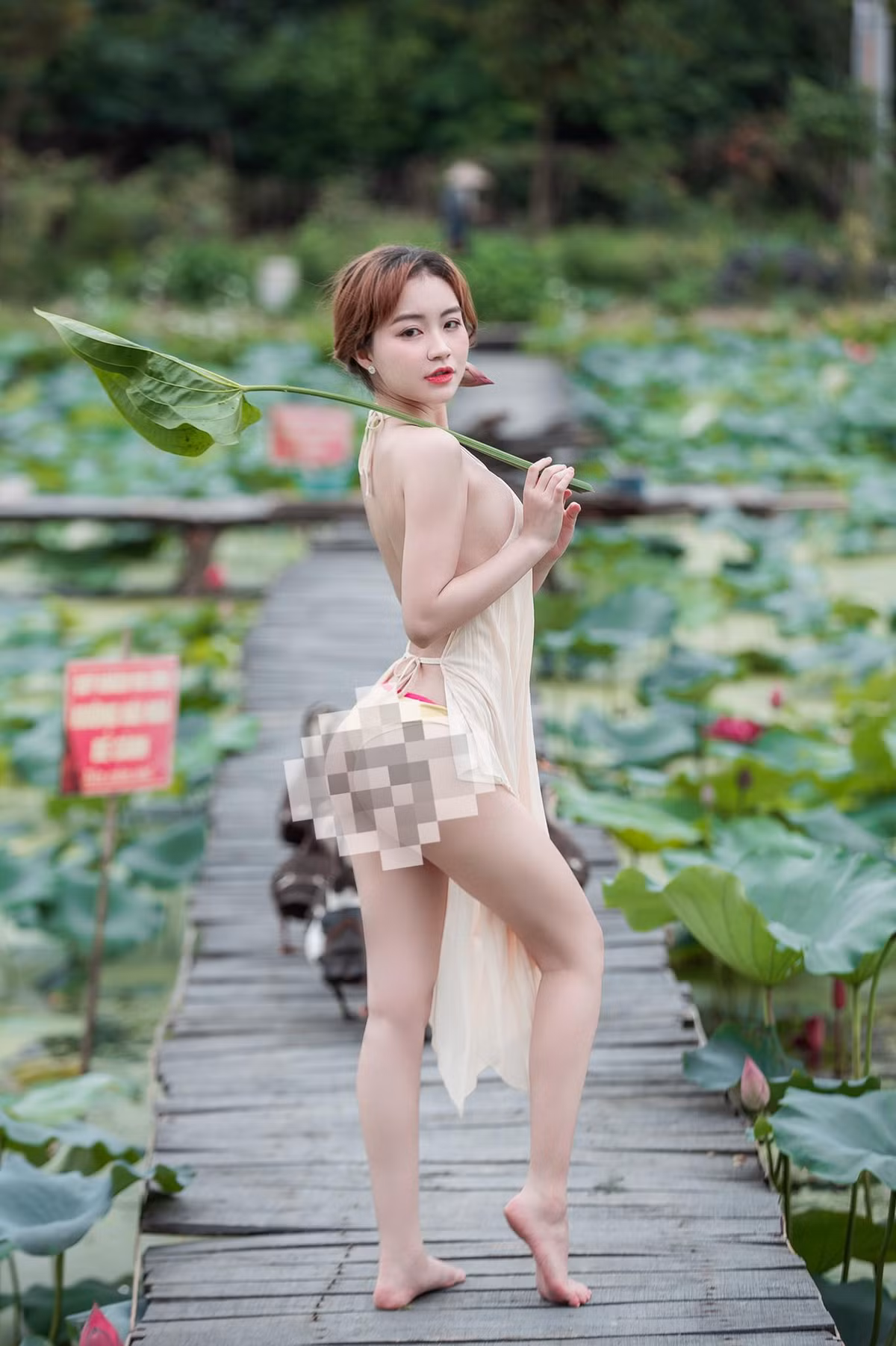 Netizen cho rằng hành động lõa lồ giữa loài hoa được cho là thanh khiết đã làm vấy bẩn vẻ đẹp của sen.