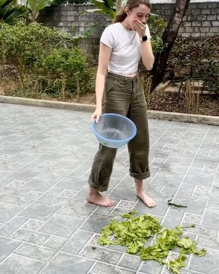 Đoàn khách Tây lần đầu tiên về một vùng quê ở Việt Nam chơi, trông vẩy rau rất thú vị nên muốn thử tay thử trải nghiệm, và kết quả như hình.,