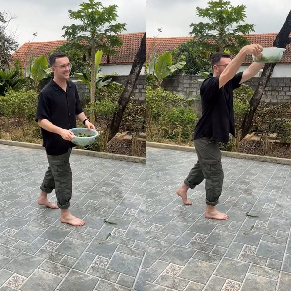 Anh chàng này thì khá hơn, chỉ làm rơi một hai lá.