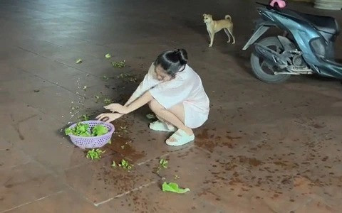 Đến cả chú cún đằng sau cũng "đứng hình" bất lực.