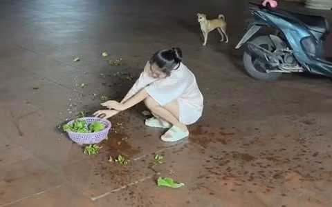 Đến cả chú cún đằng sau cũng "đứng hình" bất lực.