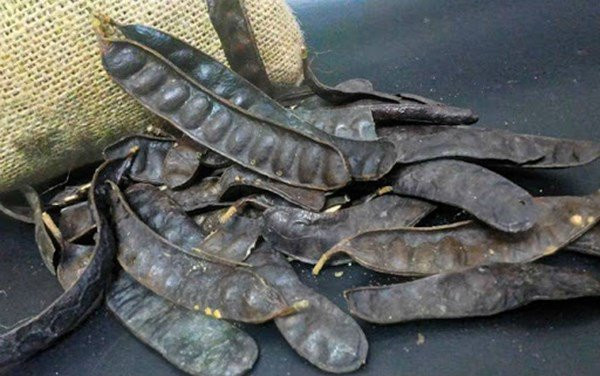 Vi sao bo ket tang gia gap doi, chi em van tranh nhau mua?-Hinh-2