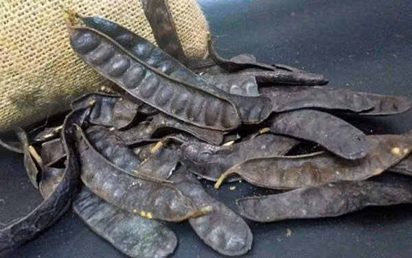 Vi sao bo ket tang gia gap doi, chi em van tranh nhau mua?-Hinh-2