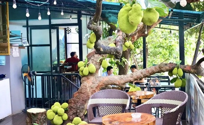 Người chủ đã thiết kế tầng 2 quán cà phê vô cùng độc lạ, thay vì chặt bỏ cây để lấy diện tích, chủ quán đã thiết kế quán cà phê 2 tầng, với sàn tầng 2 là khung sắt thép, ốp nhựa vân gỗ để cây mọc xuyên qua. Phần dưới sàn là mái tôn mát có chống thấm. Ở tầng một, gốc mít được bao quanh bởi hồ cá nhỏ.