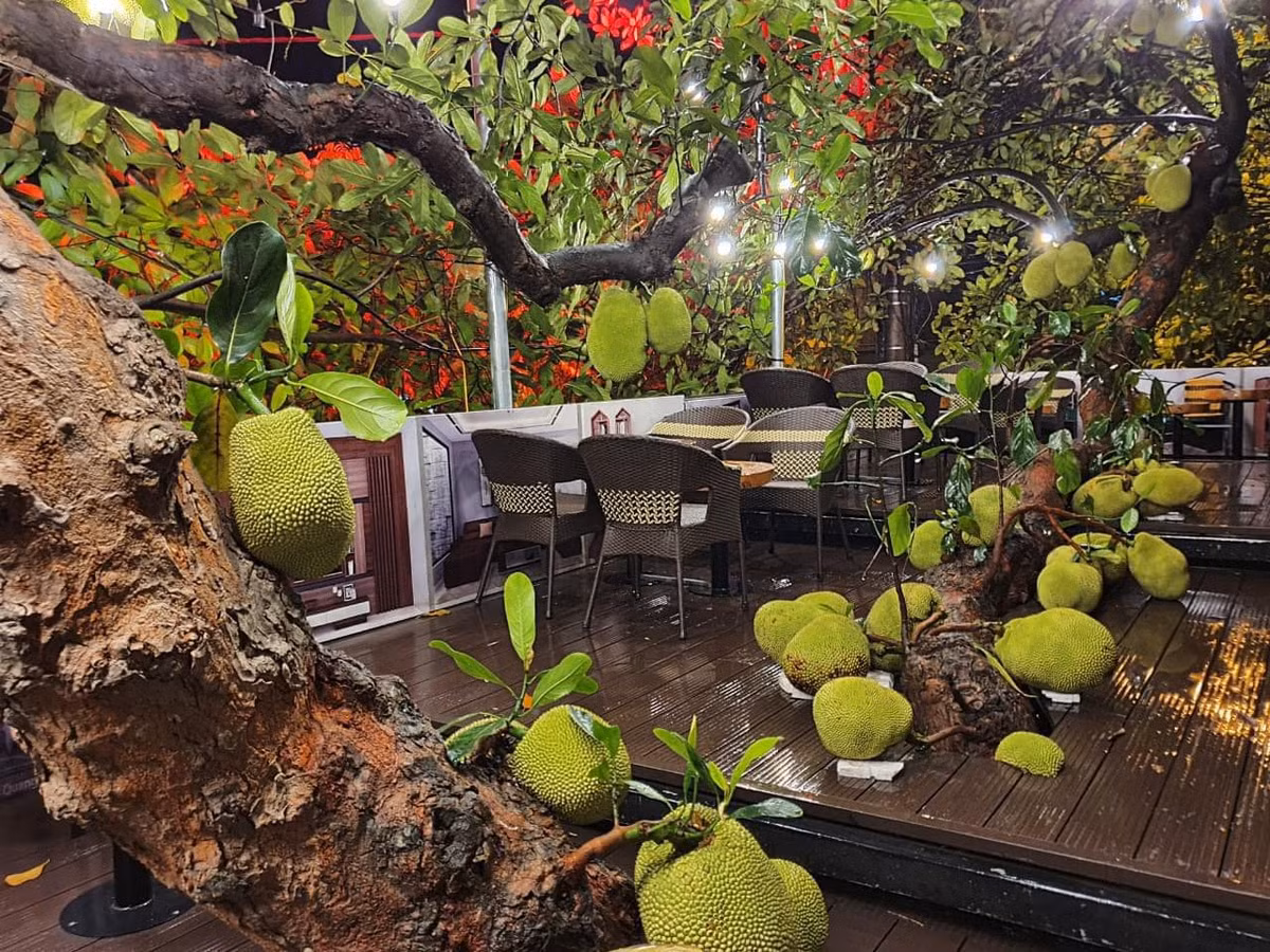 Những ngày cuối tháng 5, một quán cà phê thuộc phường An Tường, thành phố Tuyên Quang (Tuyên Quang) nổi tiếng khắp mạng xã hội, thu hút du khách gần xa bởi hình ảnh cây mít "mọc xuyên" giữa quán, trăm trái trĩu trịt từ gốc tới ngọn.