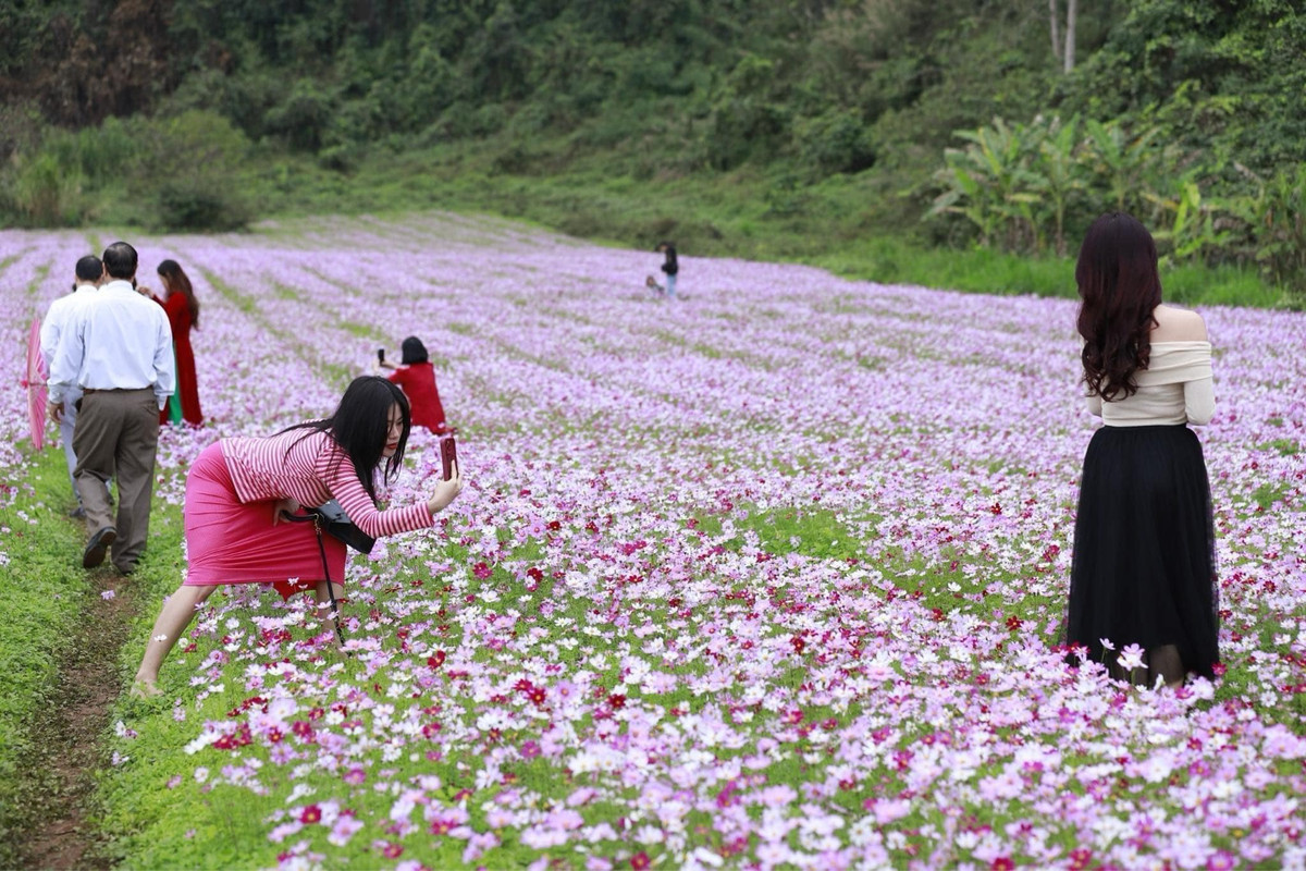 Cô gái trẻ này không ngại tạo dáng kì quặc để có thể chụp cho bạn mình tấm ảnh ưng ý nhất