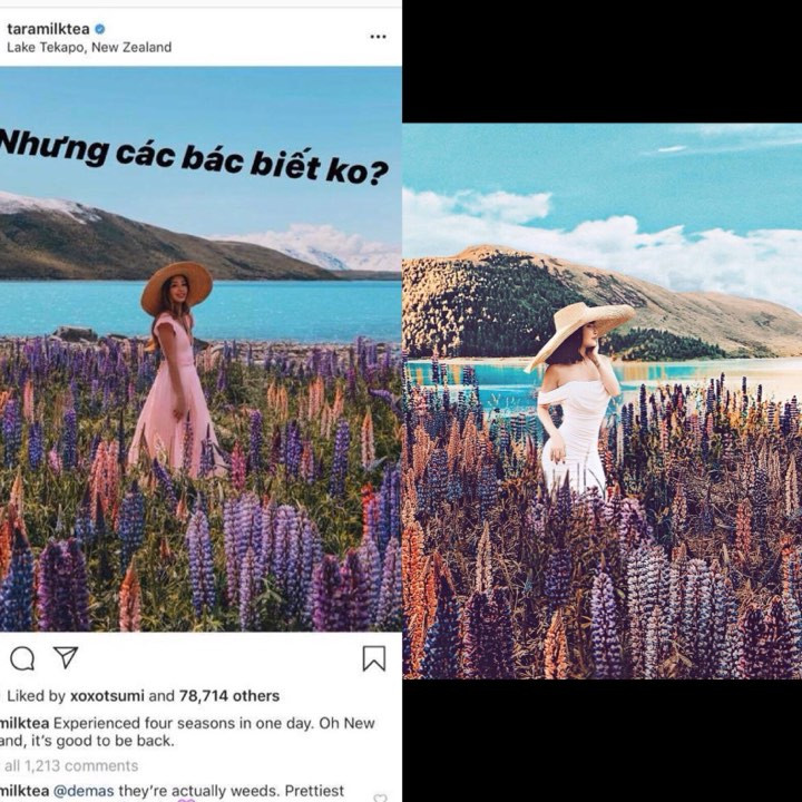 Theo những gì bị CĐM "tố" vợ hai đại gia Minh Nhựa dường như đã dùng ảnh của một tài khoản khá nổi tiếng có tên @taramilktea sau đó xoá người đi và photoshop hình mình lên.