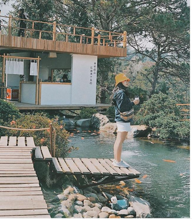 Hồ cá Koi "khổng lồ" được bao bọc bởi nhiều tán cây xanh mát từng "gây sốt" cộng đồng mạng đầu năm 2019. Ảnh: @nanapety