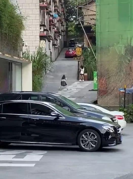 Theo đó, hai cô gái đang say sưa tạo dáng chụp ảnh trên một con phố. Điều khiến những người đi đường để ý chính là cô bạn trong vài trò làm "phó nháy" siêu nhiệt tình, cô nàng rất chăm chú làm đúng "trách nhiệm" với dáng đứng cực "lầy lội".