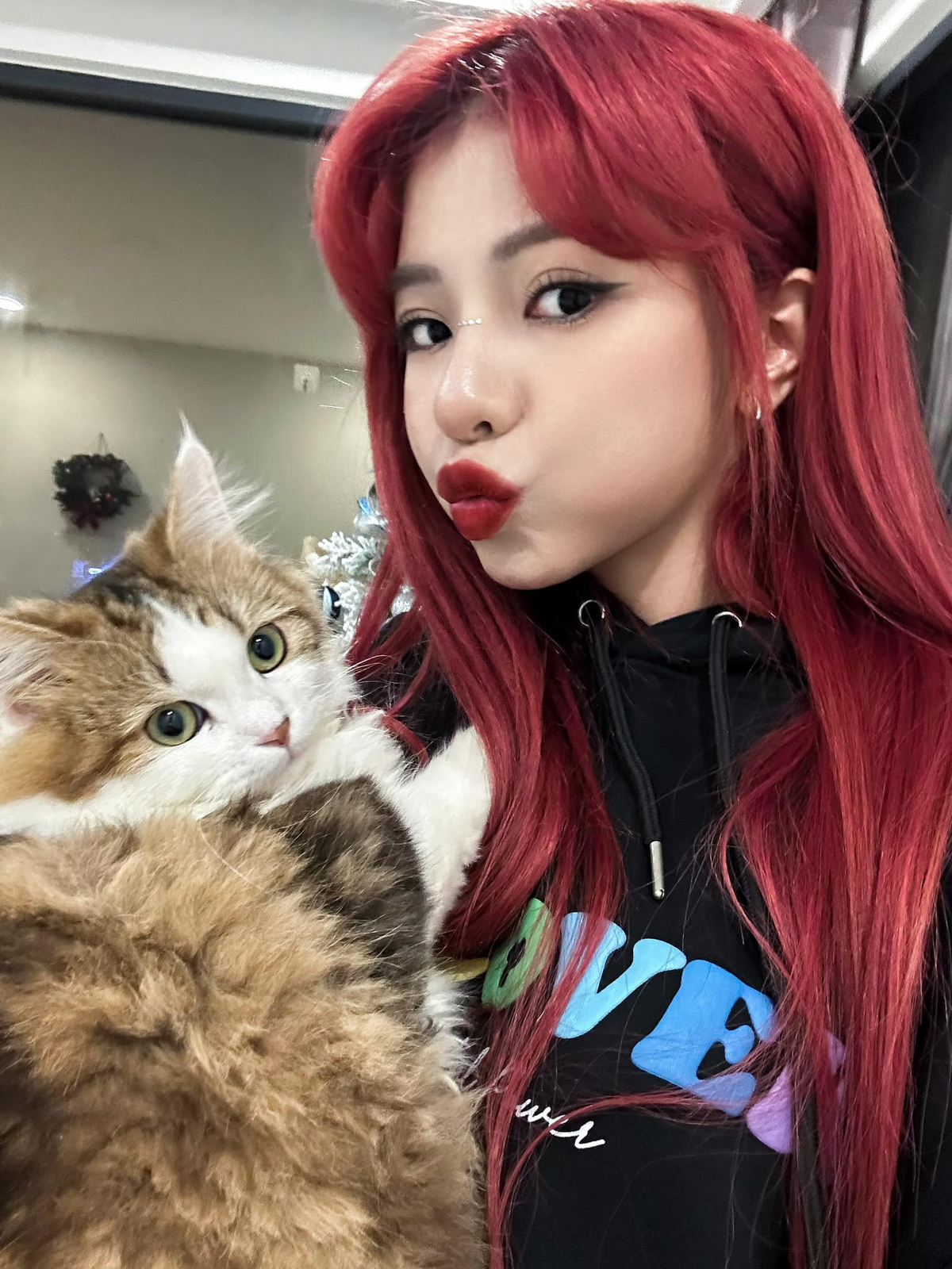 Ciin tên thật là Bùi Thảo Ly, hiện tại cô nàng có tài khoản Tiktok với hơn 13,6M người theo dõi, cô có hàng loạt những video biến hình trang điểm tạo trend, nổi đình nổi đám