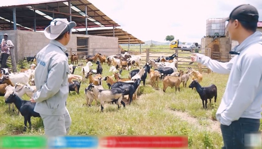Anh chàng tham vọng sẽ gầy dựng được nông trại lớn nhất vùng, trồng nhiều nông sản như: ngô, lúa, mía, đậu nành, rau củ... và chăn nuôi gia súc, gia cầm.