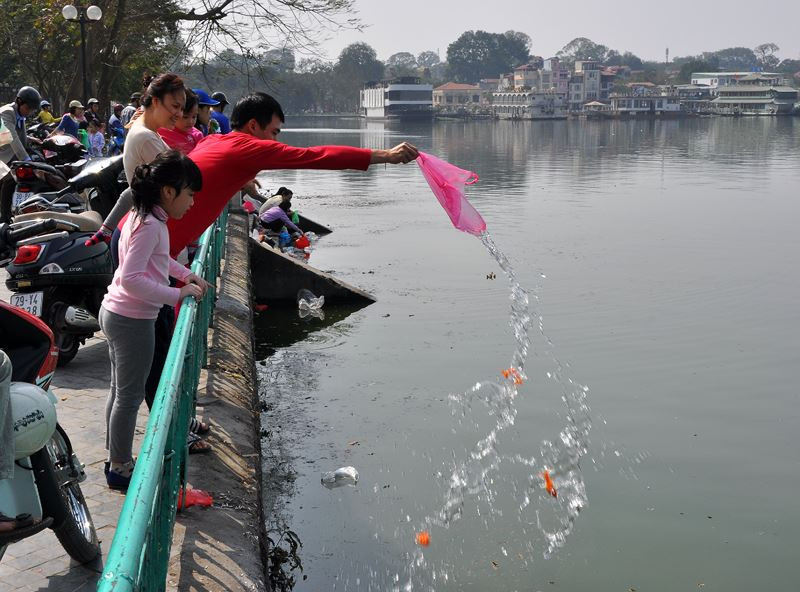 Đứng trên bờ cao ném thẳng cá chép xuống sông thế này bảo sao năm nào cận tết, xác cá chết vẫn nổi lềnh phềnh, bốc mùi hôi thối. Nếu ai cũng thả cá kiểu vô trách nhiệm thế này thì ông Công ông Táo về chầu trời bằng cách nào khi cá chết hết?