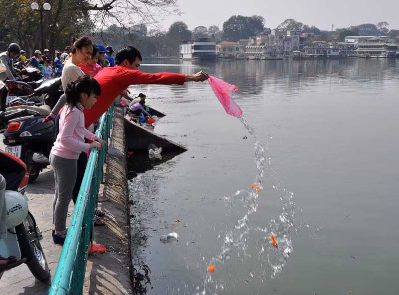 Đứng trên bờ cao ném thẳng cá chép xuống sông thế này bảo sao năm nào cận tết, xác cá chết vẫn nổi lềnh phềnh, bốc mùi hôi thối. Nếu ai cũng thả cá kiểu vô trách nhiệm thế này thì ông Công ông Táo về chầu trời bằng cách nào khi cá chết hết?