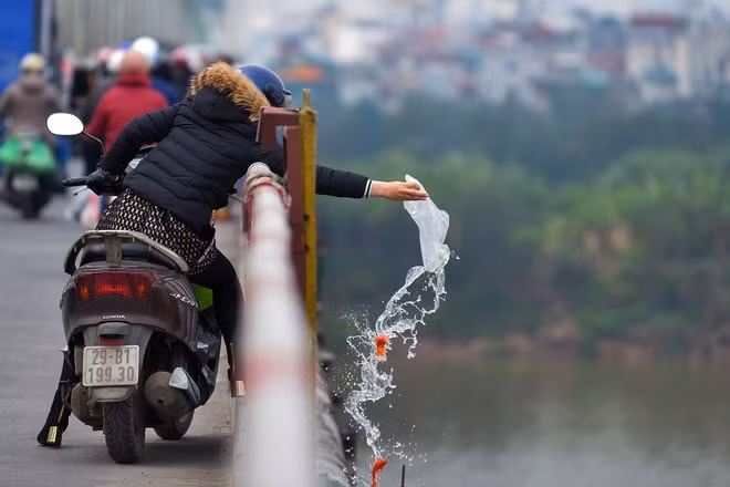 Cứ mỗi năm, vào ngày 23 tháng Chạp, tức là ngày tiễn ông Công ông Táo về trời, người dân lại nô nức cúng bái, mua cá chép vàng đem ra sông, hồ, ao thả với ý nghĩa để Táo Quân cưỡi lên trời vừa để phóng sinh. Thế nhưng những ý nghĩa tốt đẹp thì ít mà hình ảnh xấu xí lại xuất hiện tràn ngập trên mạng xã hội khiến cộng đồng ngán ngẩm.