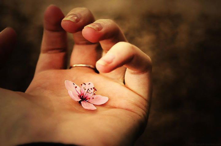 3 diem tren co the lam thay doi “ngoan muc” van menh-Hinh-2