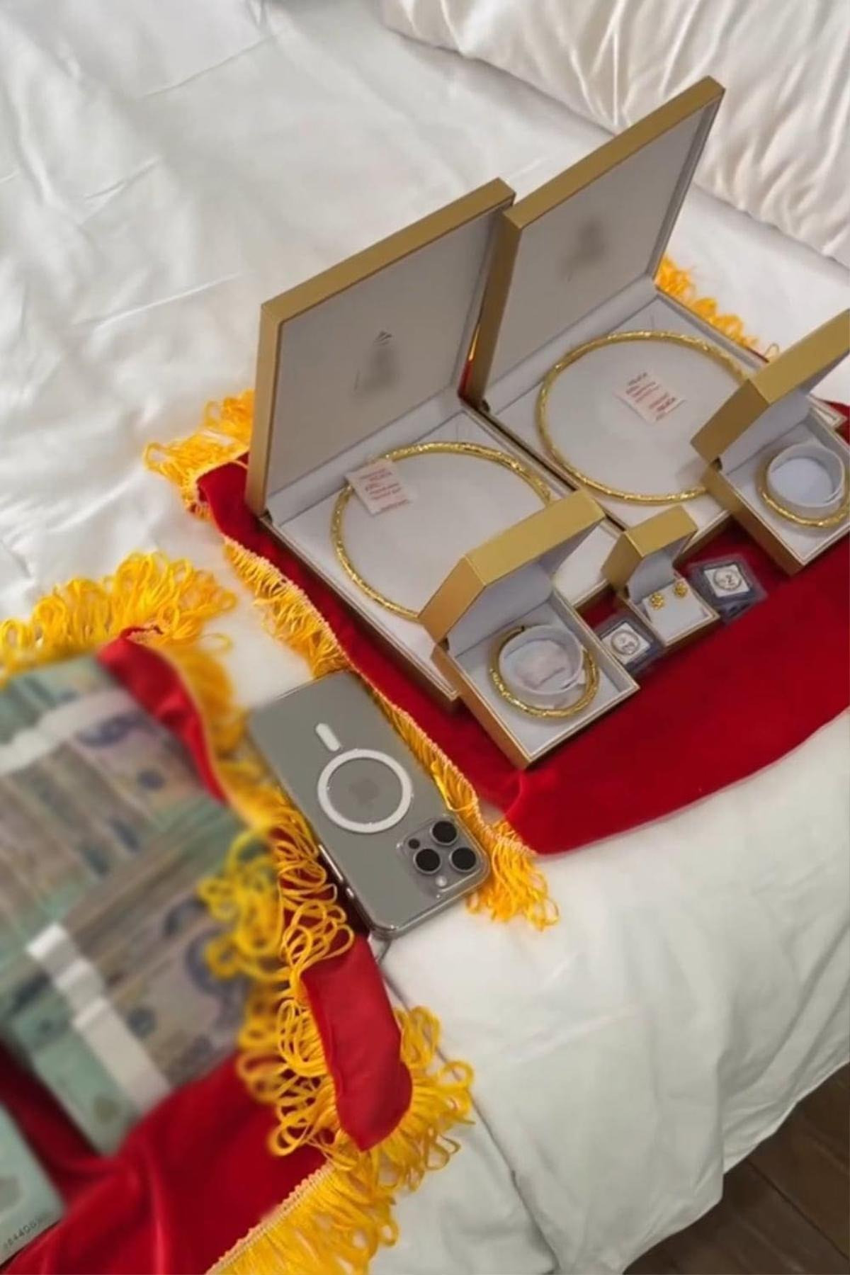 Theo đó, tại buổi lễ vu quy, nữ MC cất giọng đọc trước quan viên hai họ: “Quà tặng mẹ Hoa dành cho Thảo và Tân sẽ bao gồm: 9 sổ tiết kiệm mỗi sổ 1 tỷ đồng, 1 tỷ đồng tiền mặt, 5 bất động sản (1 căn hộ, 1 villa, 3 khu đất mặt tiền trung tâm). Tổng trị giá khoảng hơn 200 tỷ đồng”.