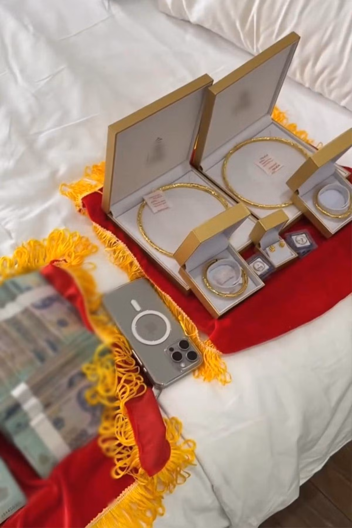 Theo đó, tại buổi lễ vu quy, nữ MC cất giọng đọc trước quan viên hai họ: “Quà tặng mẹ Hoa dành cho Thảo và Tân sẽ bao gồm: 9 sổ tiết kiệm mỗi sổ 1 tỷ đồng, 1 tỷ đồng tiền mặt, 5 bất động sản (1 căn hộ, 1 villa, 3 khu đất mặt tiền trung tâm). Tổng trị giá khoảng hơn 200 tỷ đồng”.