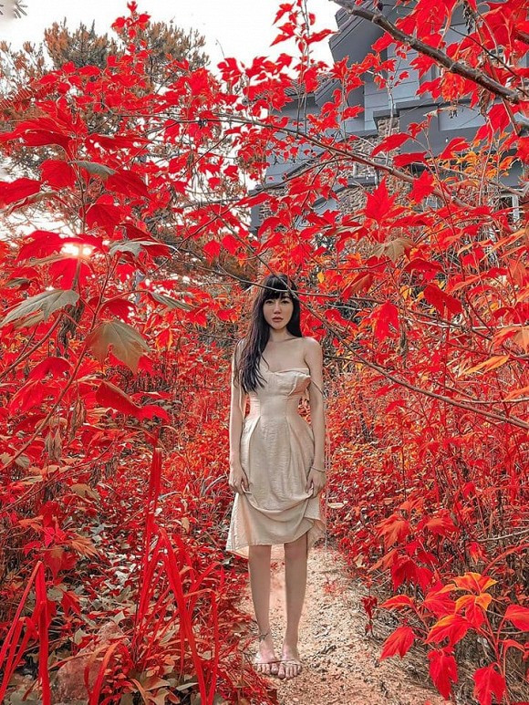 Chính vì vậy bạn bè hay đồng nghiệp đều nhận xét Elly Trần như "oan hồn bóng quế". Mới đây, người đẹp chia sẻ: "Từ đồng nghiệp đến bạn bè xã hội ai ai cũng hỏi sao mình lúc nào cũng cứ như oan hồn bóng quế, khó tìm khó hiểu, không ai biết mình đang làm gì, công việc thế nào, đời sống ra sao, hỏi đến là cứ lảng lảng qua mấy chủ đề vô thưởng vô phạt chứ không bao giờ chịu kể lể, tâm sự gì hết vậy?