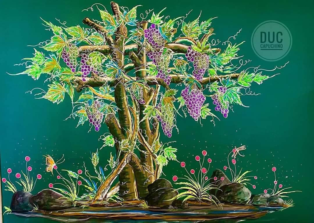 Vườn nho sai trĩu quả...