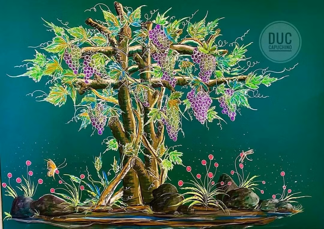 Vườn nho sai trĩu quả...