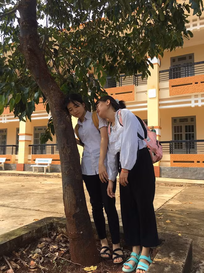 Đôi bạn thân này được nhiều người nhận xét là hoà đồng, thậm chí còn rất hài hước, lầy lội, thường xuyên bày trò trong lớp.