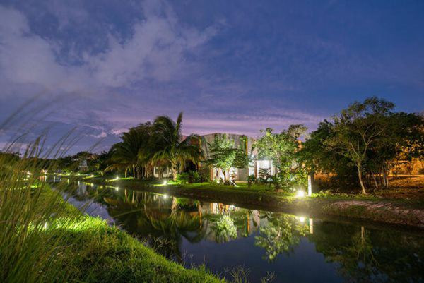 …và rặng dừa bên cạnh con kênh nhỏ.