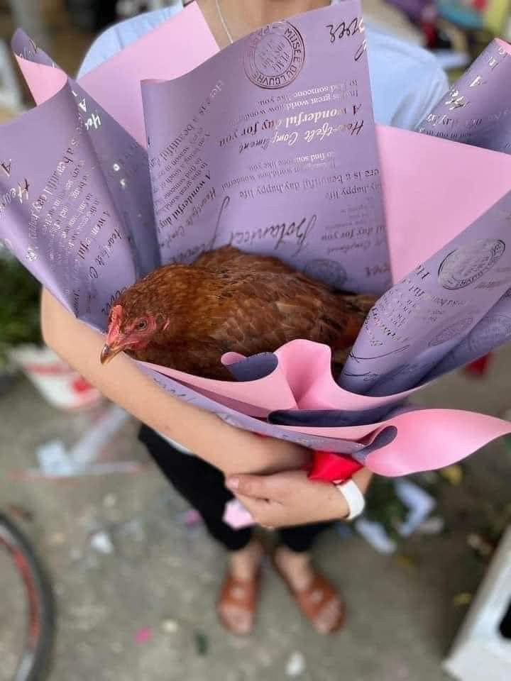 Tặng em con pet biết đẻ trứng...