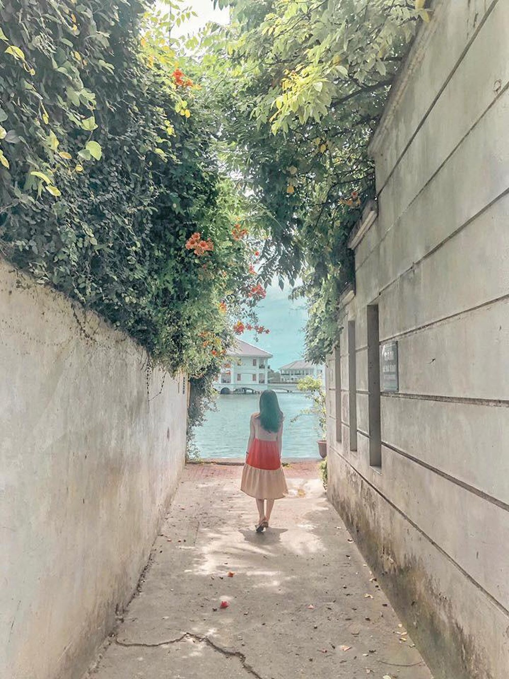 Con ngo song ao o Ho Tay bi 