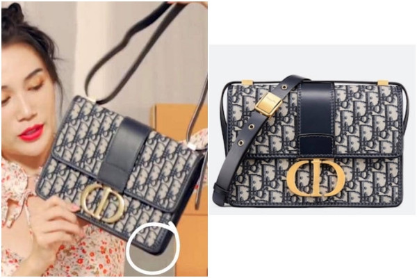 Ngay lập tức, Sĩ Thanh dùng hàng fake trở thành đề tài được bàn luận sôi nổi của CĐM. Nhiều người chỉ trích nữ ca sĩ "sống ảo", "treo đầu dê, bán thịt chó".