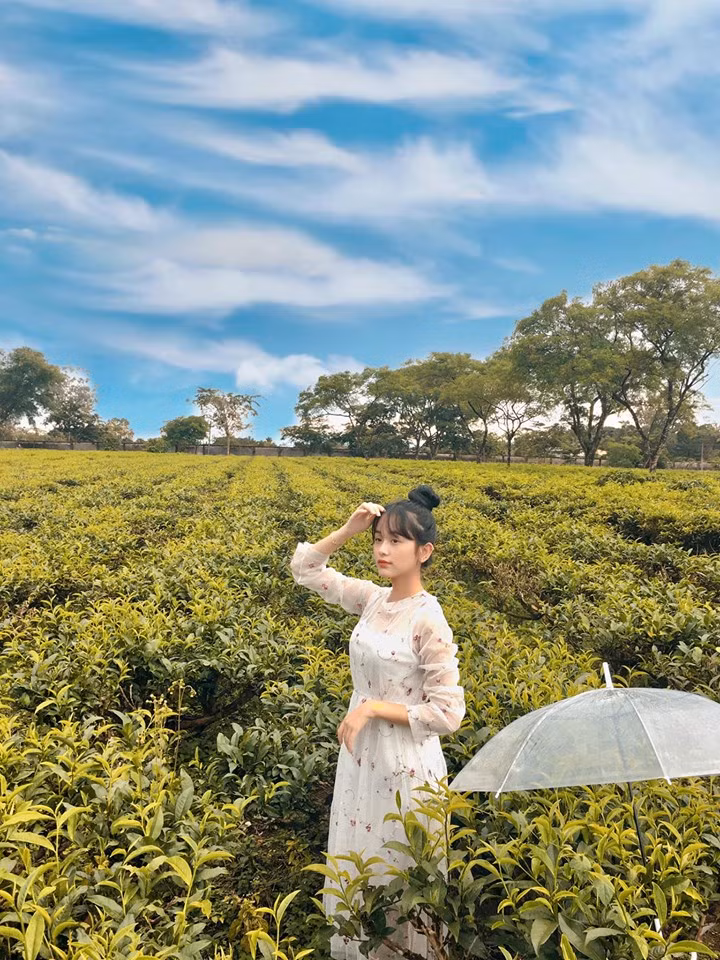 Ngoài gương mặt xinh đẹp, Mỹ Linh được cư dân mạng đánh giá cao bởi thần thái tự tin hút hồn.