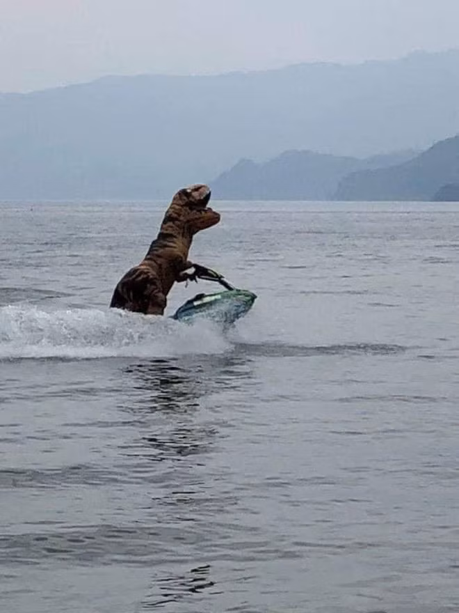 Lướt sóng bằng cano với đủ mọi tư thế hài hước, chú khủng long ngộ nghĩnh chơi vơi như vừa tập lái mà chưa thành khiến ai cũng không thể nhịn nổi cười.