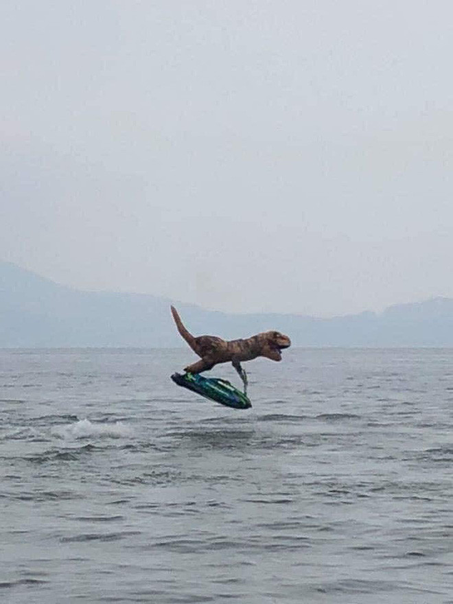 Được biết, chú khủng long này chỉ là bộ trang phục lướt sóng độc đáo được một thanh niên mặc trong lúc chơi mô tô nước và đăng tải lên MXH mà thôi.