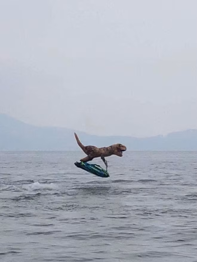 Được biết, chú khủng long này chỉ là bộ trang phục lướt sóng độc đáo được một thanh niên mặc trong lúc chơi mô tô nước và đăng tải lên MXH mà thôi.