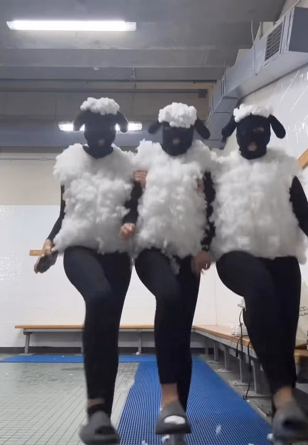 Bộ đồ con cừu này chắc phải can đảm lắm mới có thể mặc ra đường.