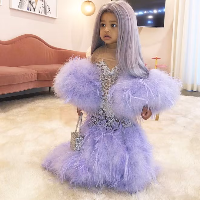 Sinh ra trong một gia đình nổi tiếng trong giới showbiz, Stormi sớm tiếp xúc với những tên tuổi đình đám tại Hollywood. DJ Khaled từng tặng nhóc tỳ chiếc túi hiệu Chanel đắt tiền vào sinh nhật đầu tiên của cô bé. Vẻ đáng yêu, lém lỉnh, bụ bẫm của Stormi khiến cho những người bạn của Kylie lẫn công chúng đều dành lời khen. Các bức ảnh liên quan tới cô bé luôn thu hút sự chú ý của dân mạng.