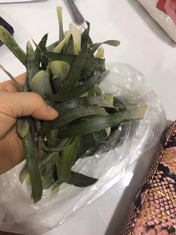 Nhờ chồng đi mua lá nếp về thổi xôi nấu chè thì chồng mang về túi lá dứa. Đã thế còn hăm hở khoe được người bán tặng miễn phí.