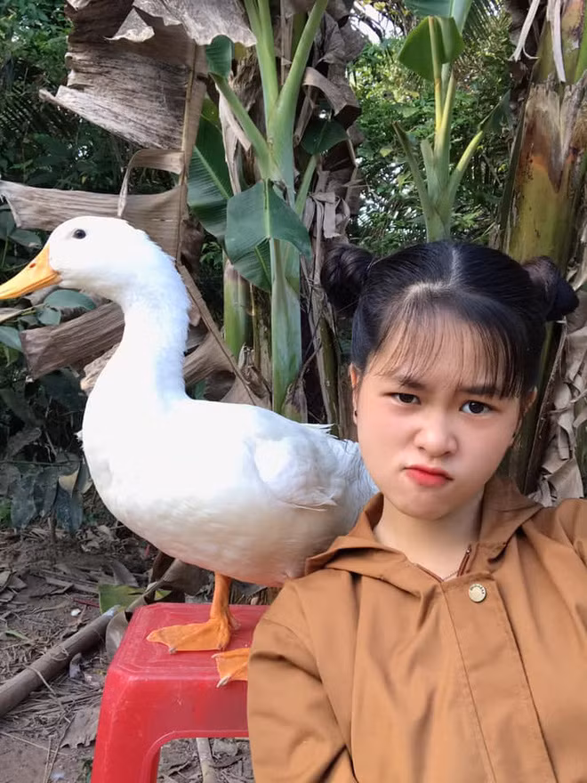 Trái ngược với cuộc sống chuẩn "rich kid" của hai cô bé Jenny Huỳnh và Thiên Thư, Thuỳ Trang (bé Sâu) - chủ kênh Sâu Tivi lại là một thôn nữ chính hiệu. Năm nay 18 tuổi, bạn đồng hành của Sâu là một chú vịt bầu trắng muốt tên Bim Bim.