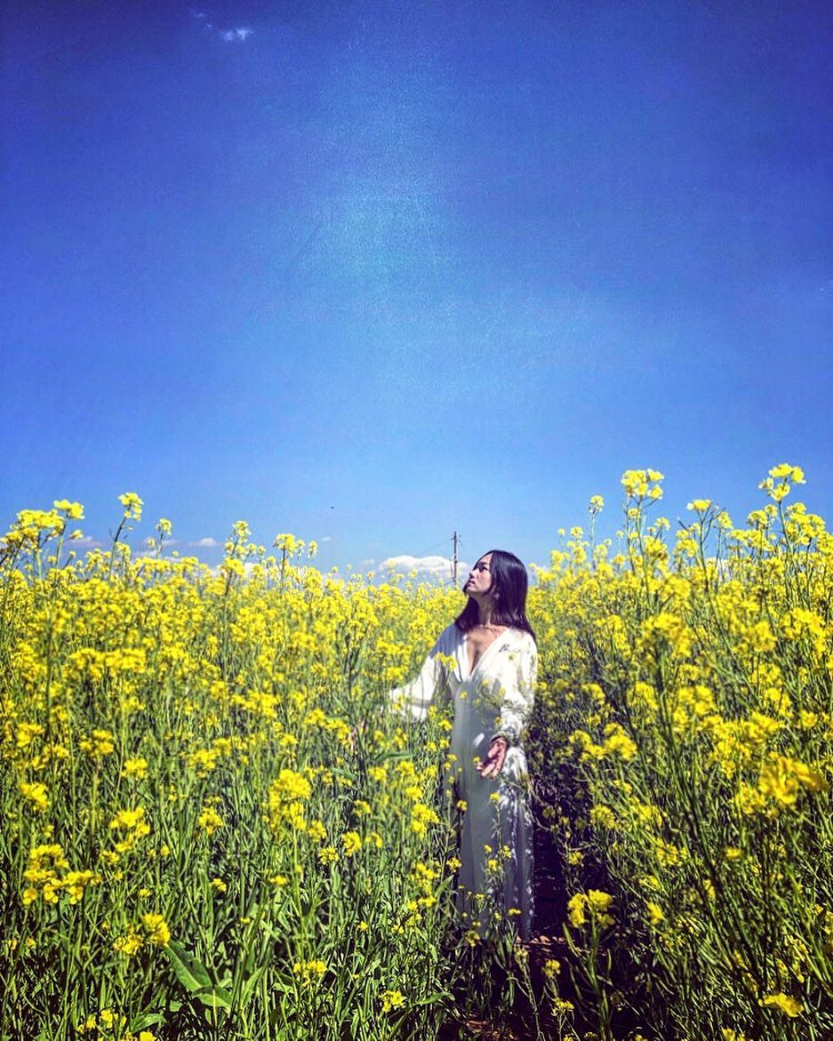 Chẳng giống như hoa mai anh đào, hay hoa ban nở rộ tít trên cao, để chụp được một tấm ảnh đẹp ngập hoa là cực khó, hoa cải vàng lại mọc ngang ngực, chi chít rực rỡ nên check-in Đà Lạt vào mùa này dễ dàng và đẹp hơn rất nhiều các mùa hoa khác.