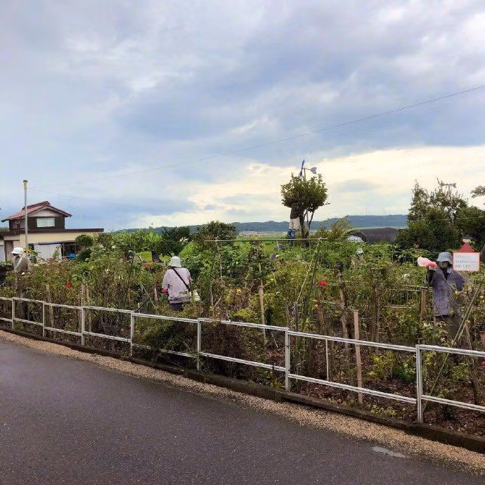 Số bù nhìn này do cụ bà Tsukimi Ayano tạo nên với hình dáng và kích thước như người thật.