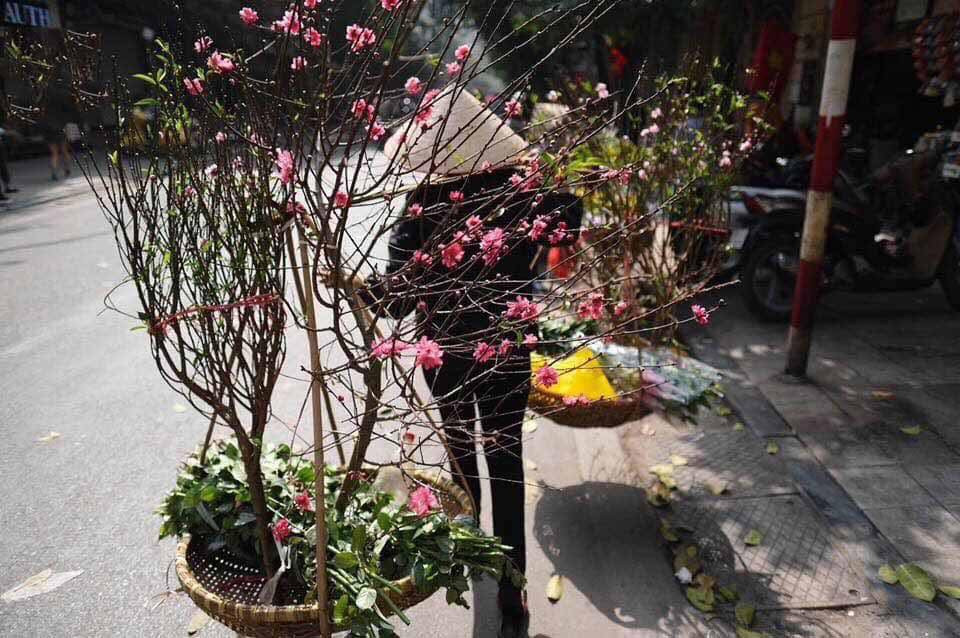 Năm nào cũng vậy, cứ tới tết là nhà nào cũng tất bật dọn dẹp, mua sắm đồ mới, đặc biệt là phải đi chọn đào, chọn quất trang hoàng lại nhà cửa với mong muốn năm mới tươi đẹp hơn.