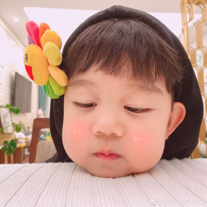 Mới chỉ có 3 tuổi nhưng Q Bảo đã sở hữu một fanclub vô cùng hùng hậu, người lớn cũng phải ghen tỵ.