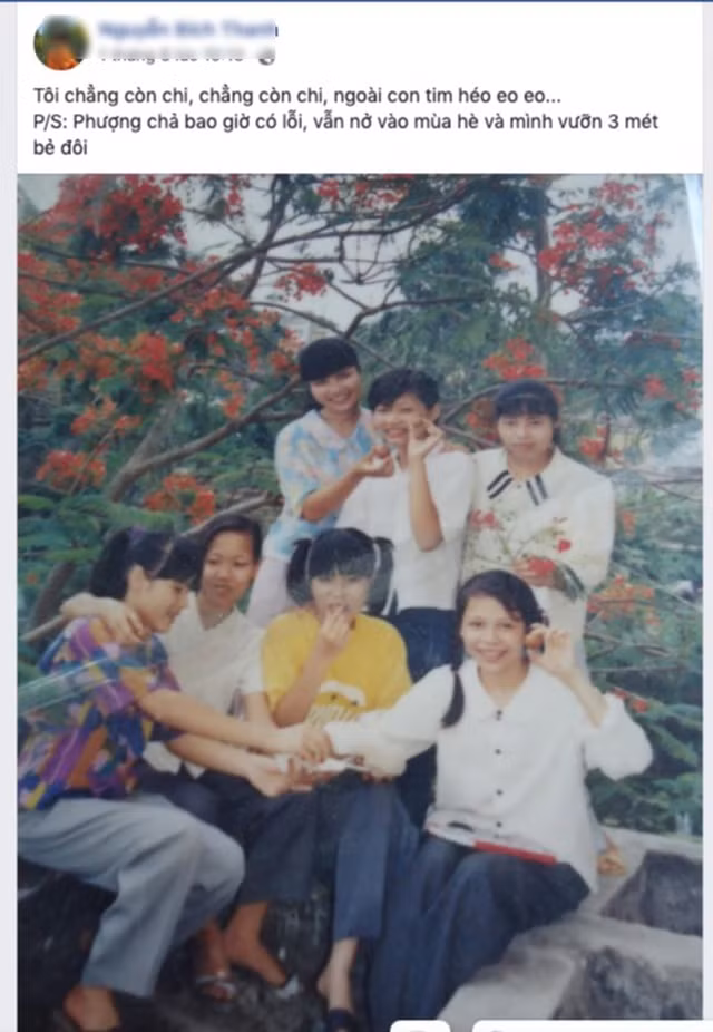 Nhiều người đã chia tay mái trường, chia tay tuổi phượng hồng nhiều năm cũng không giấu nổi sự tiếc nuối.