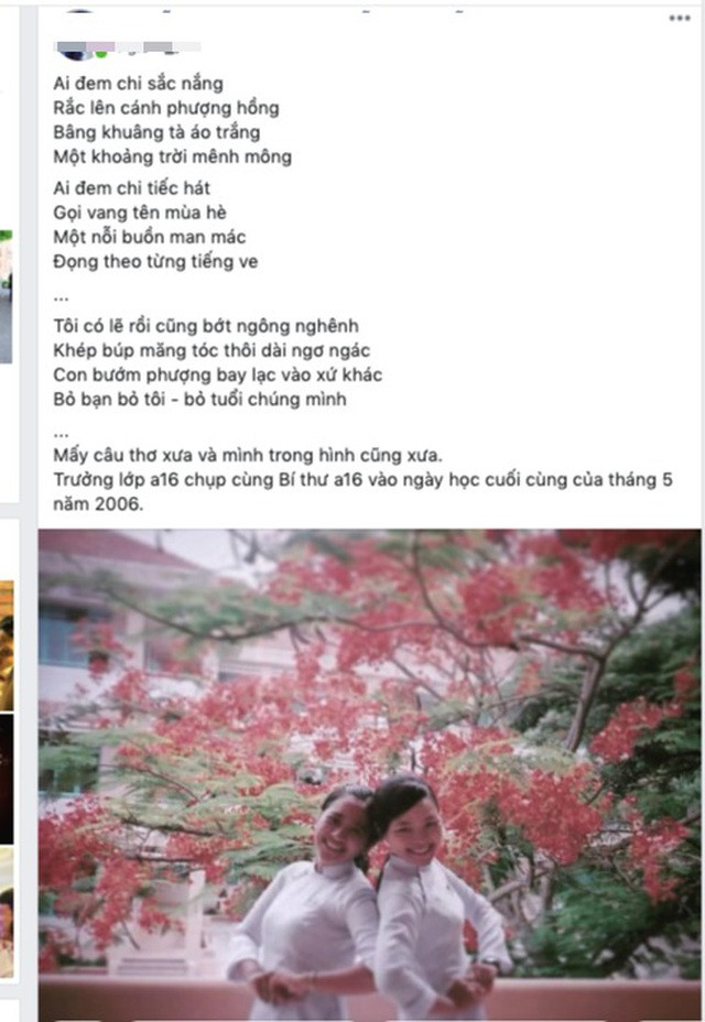 Việc hàng loạt cây phượng bị đốn bỏ khiến dân mạng không khỏi tiếc nuối. Bởi lẽ, đây là loại cây gắn liền với tuổi học trò, mang nhiều kỷ niệm về những mùa chia tay.