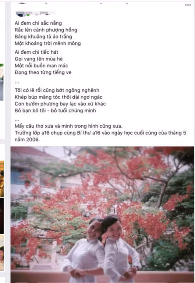 Việc hàng loạt cây phượng bị đốn bỏ khiến dân mạng không khỏi tiếc nuối. Bởi lẽ, đây là loại cây gắn liền với tuổi học trò, mang nhiều kỷ niệm về những mùa chia tay.